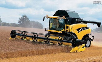 Muzze || Art & History Museum