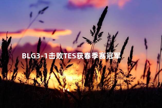BLG3-1击败TES获春季赛冠军