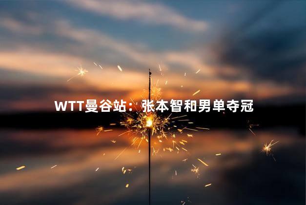 WTT曼谷站：张本智和男单夺冠