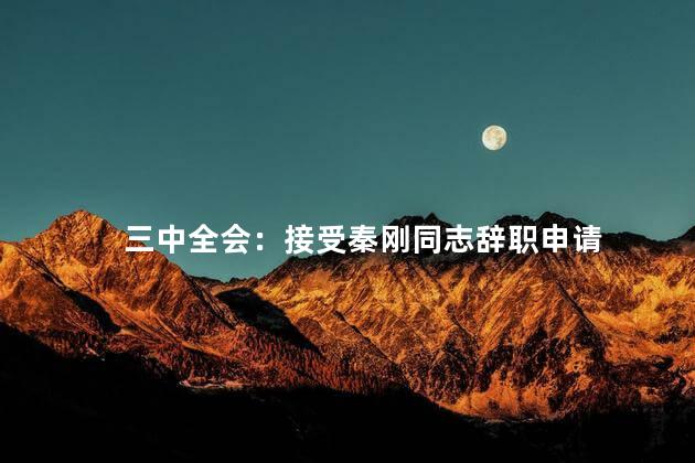 三中全会：接受秦刚同志辞职申请