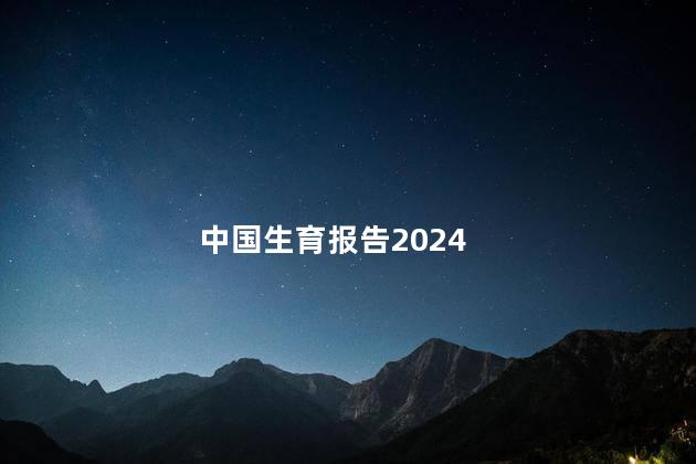 中国生育报告2024