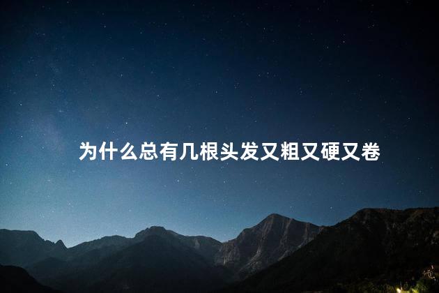 为什么总有几根头发又粗又硬又卷