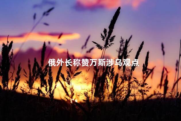 俄外长称赞万斯涉乌观点