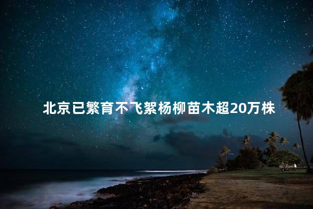 北京已繁育不飞絮杨柳苗木超20万株