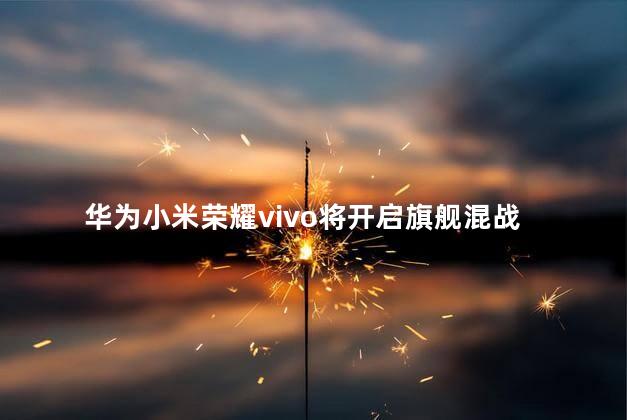 华为小米荣耀vivo将开启旗舰混战