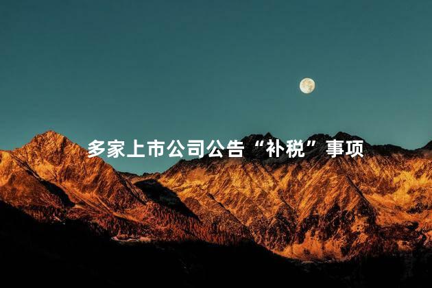 多家上市公司公告“补税”事项