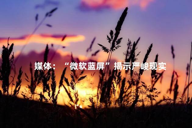 媒体：“微软蓝屏”揭示严峻现实