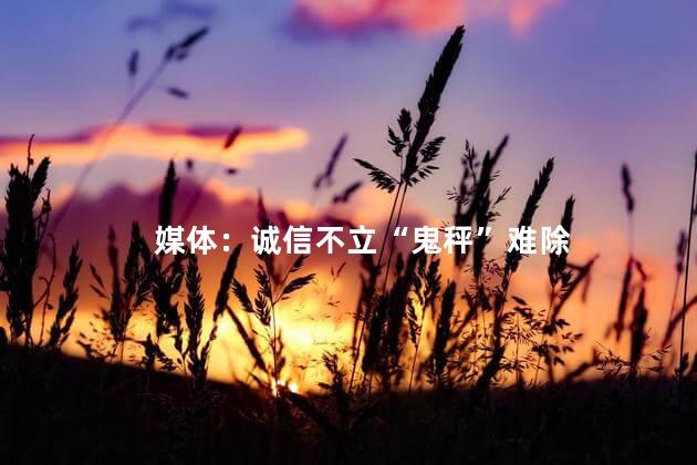 媒体：诚信不立“鬼秤”难除