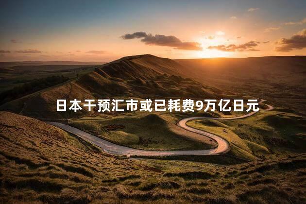 日本干预汇市或已耗费9万亿日元