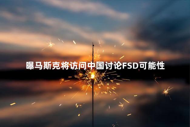 曝马斯克将访问中国讨论FSD可能性