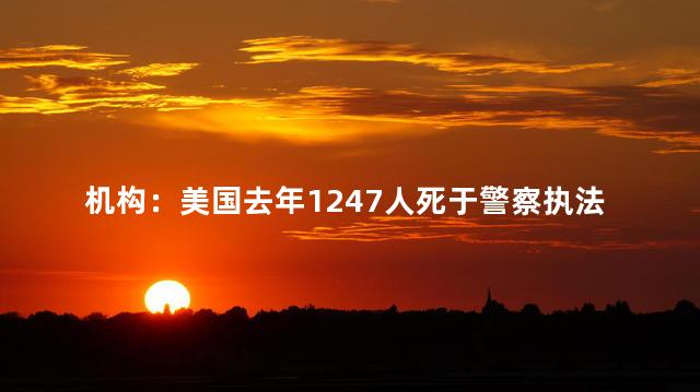 机构：美国去年1247人死于警察执法