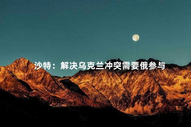 沙特：解决乌克兰冲突需要俄参与