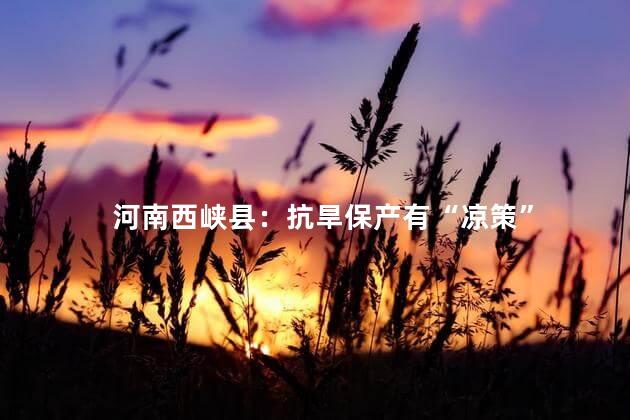 河南西峡县：抗旱保产有“凉策”