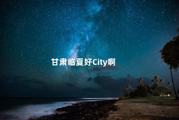 甘肃临夏好City啊