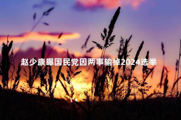 赵少康曝国民党因两事输掉2024选举