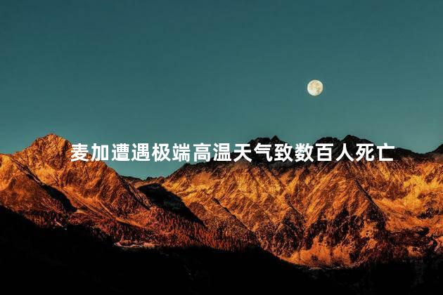 麦加遭遇极端高温天气致数百人死亡